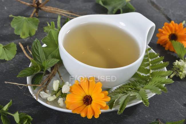 Cup of herbal tea — Stock Photo