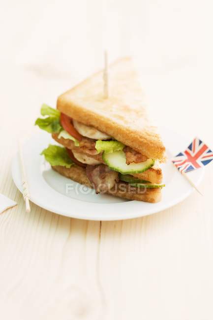 Toasted club sandwich — Stock Photo