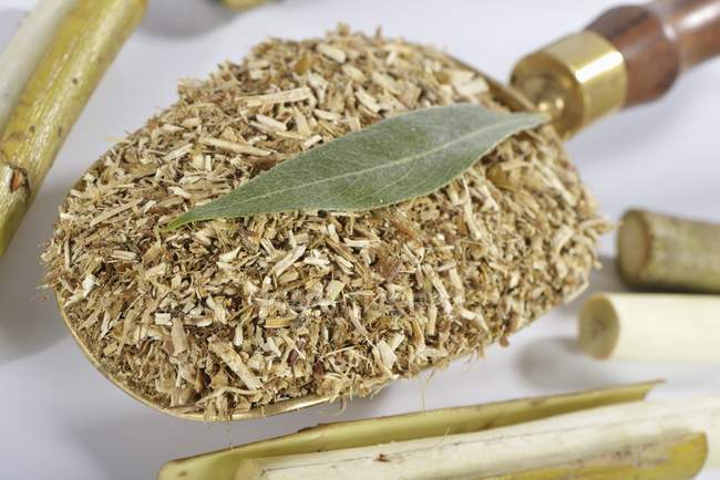 Closeup view of dried and chopped white willow with leaf on shovel — Stock Photo