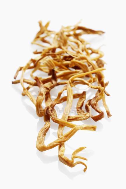 Closeup view of dried lily buds on a white surface — Stock Photo