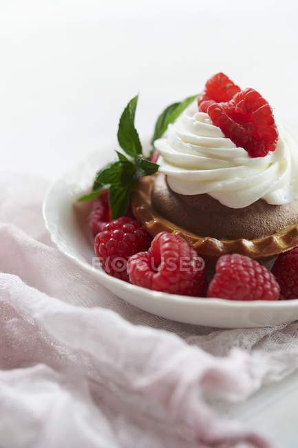 Torta de chocolate com framboesas frescas — Fotografia de Stock