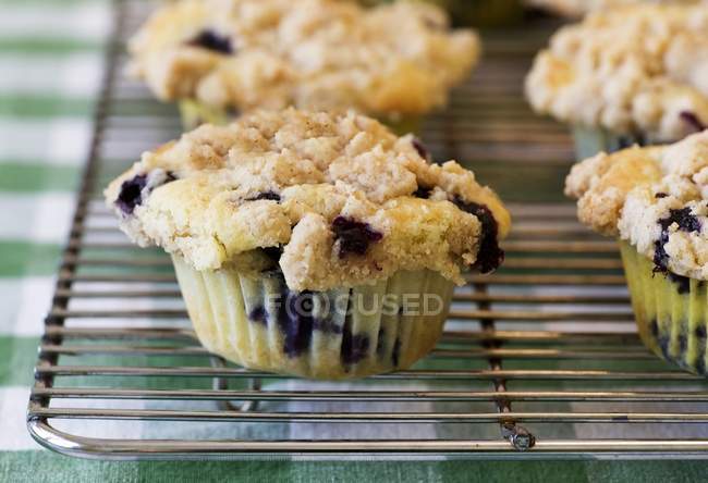 Muffins de mirtilo em rack de arame — Fotografia de Stock