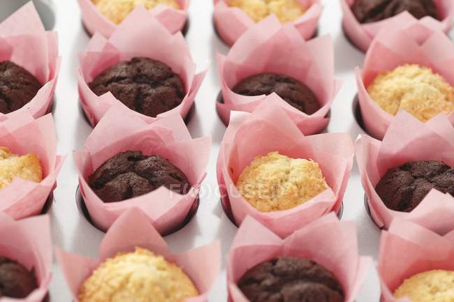 Muffins de coco e chocolate — Fotografia de Stock