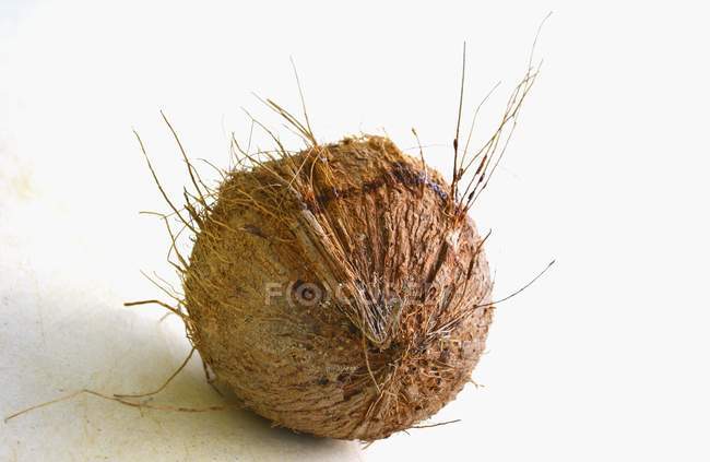 Свежий спелый кокос — стоковое фото