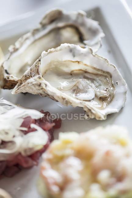 Frische Austern auf weißem Teller — Stockfoto