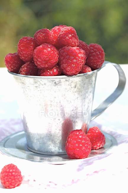 Raspberries in zinc cup — Stock Photo
