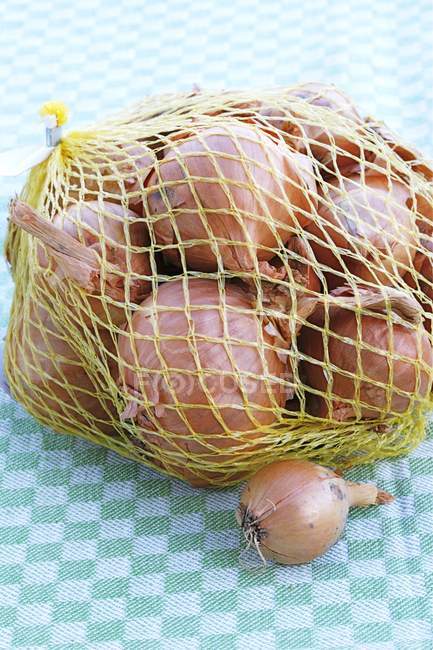 Raw fresh onions — Stock Photo