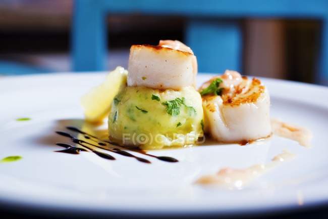 Fried scallops with mashed potato  on white plate — Stock Photo