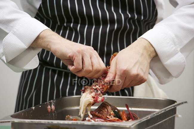 Ausgeschnittener Blick auf Koch bei der Zubereitung von Langusten — Stockfoto