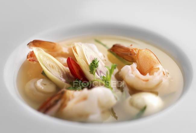 Closeup view of prawn soup with herb in white bowl — Stock Photo