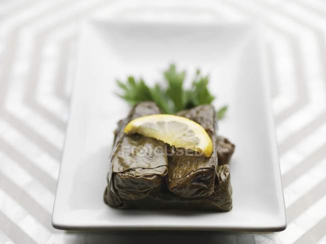 Dolmades with a slice of lemon in white plate — Stock Photo