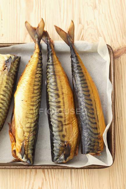 Smoked mackerel fish on tray — Stock Photo