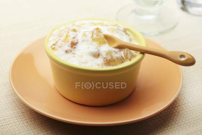 Hausgemachter Mandarine Orange griechischer Joghurt — Stockfoto