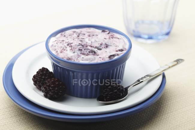 Closeup view of homemade blackberry Greek yogurt — Stock Photo
