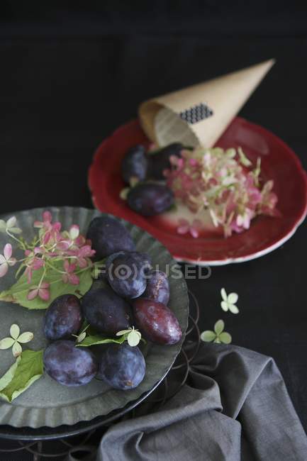 Pflaumen und Blumen auf Tellern — Stockfoto