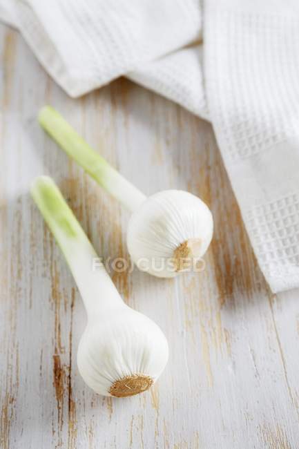 Fresh bulbs of garlic — Stock Photo