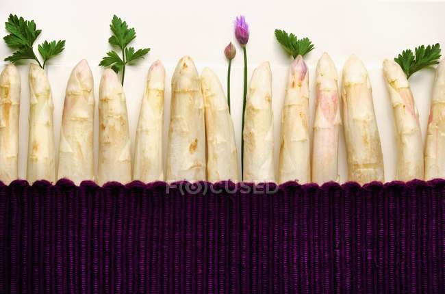 White asparagus with parsley and chives — Stock Photo