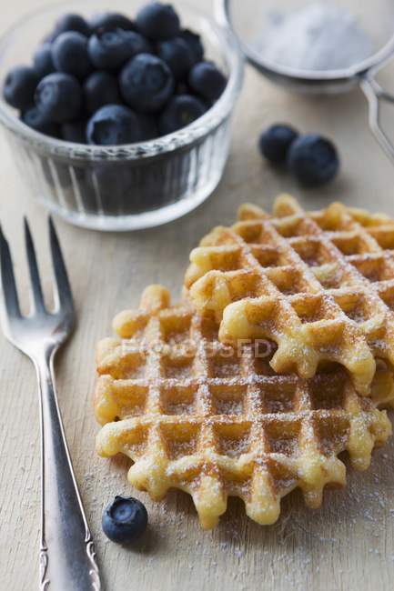 Waffles with icing sugar and fresh blueberries — Stock Photo