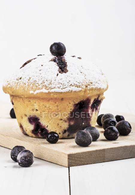 Blueberry muffin with berries — Stock Photo