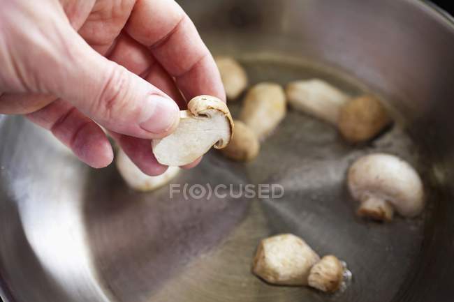 Closeup view of a hand holding a button mushroom above a pot — Stock Photo