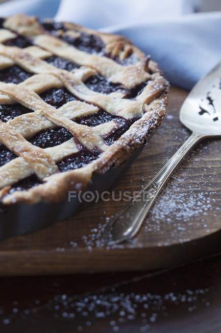 Freshly baked mulberry pie — Stock Photo