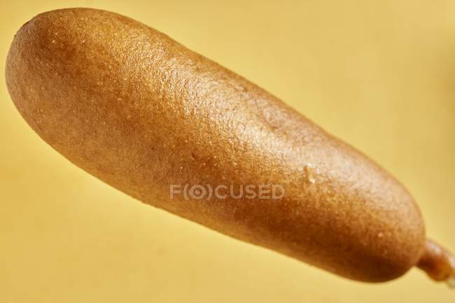 Cane di grano su giallo — Foto stock