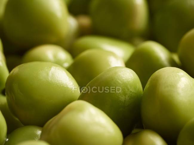 Soaked green peas — Stock Photo