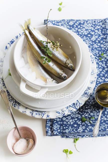 Fresh smelts on ice in cup — Stock Photo