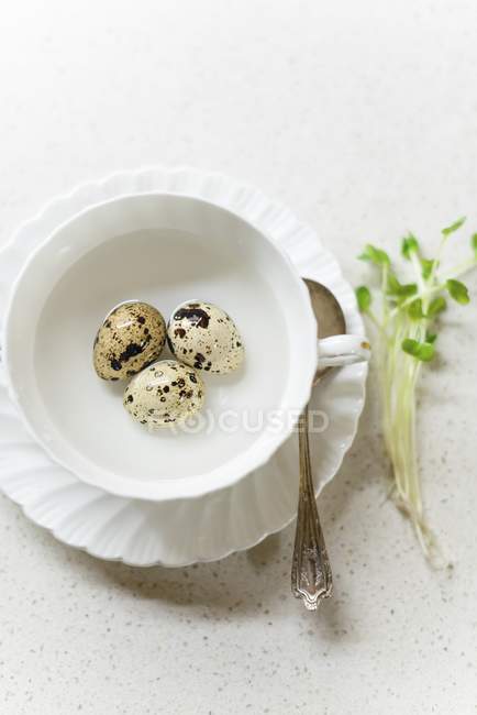 Huevos de codorniz en taza de agua - foto de stock