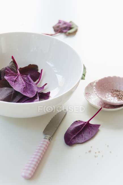 Folhas de espinafre roxo e sal marinho na placa branca — Fotografia de Stock