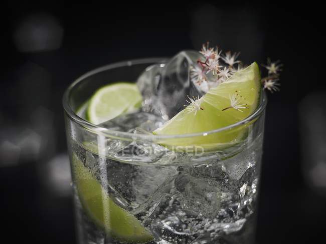 Nahaufnahme von Gin Tonic mit Eiswürfeln garniert mit Limetten und Blumen — Stockfoto