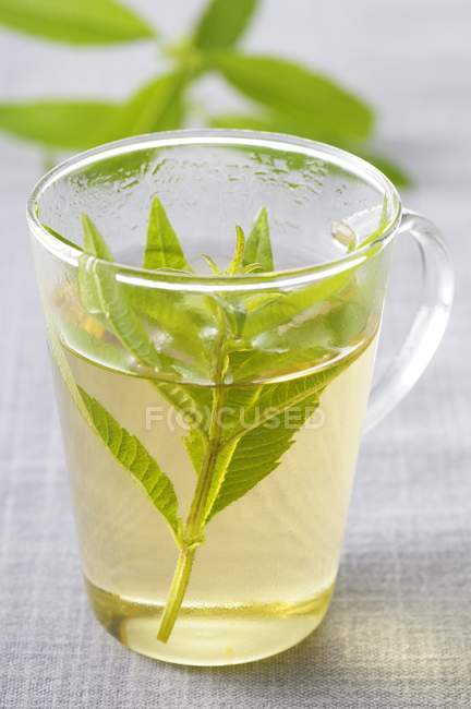 Tè alla verbena in tazza di vetro — Foto stock