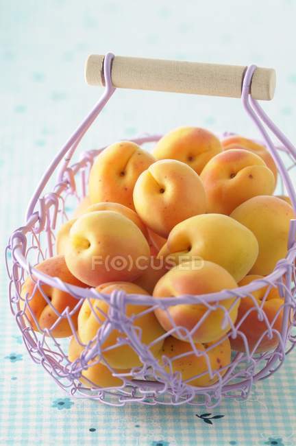 Fresh apricots in wire basket — Stock Photo