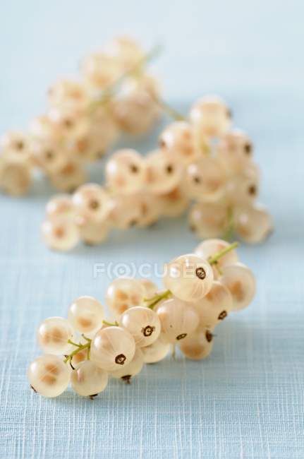 White currants on tablecloth — Stock Photo