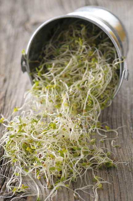 Beansprouts on wooden table — Stock Photo