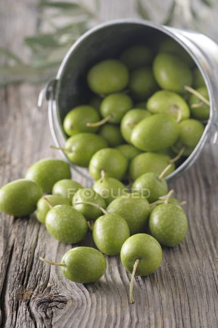 Зеленые оливки в ведре — стоковое фото