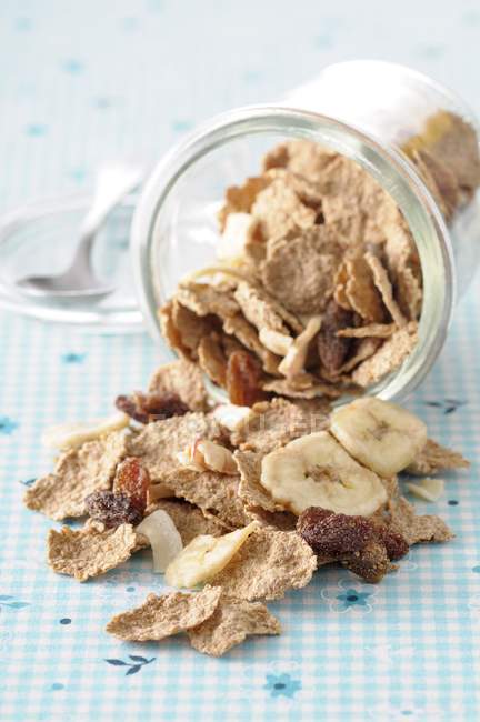 Spelt flakes with dried bananas and raisins — Stock Photo