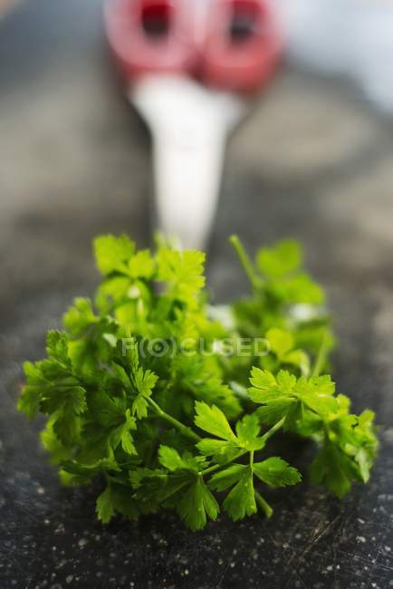 Heap of Fresh parsley — Stock Photo