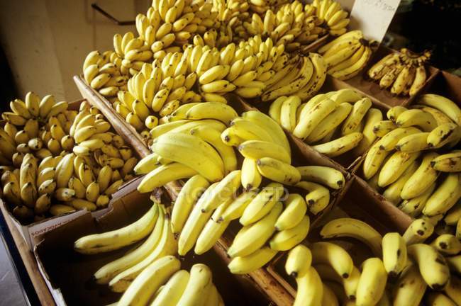 Fresh bananas in boxes — Stock Photo