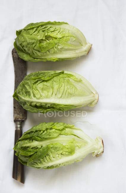 Lettuces with old vintage knife — Stock Photo