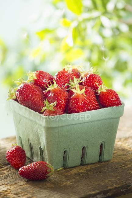 Fresh picked strawberries — Stock Photo