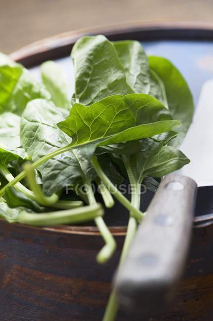 Organic spinach leaves and knife — Stock Photo