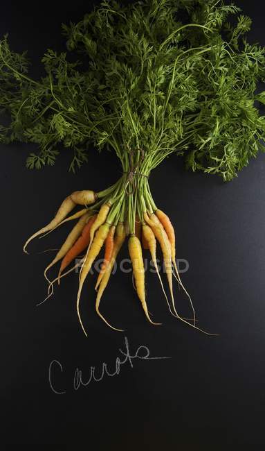 Cenouras frescas em bruto — Fotografia de Stock