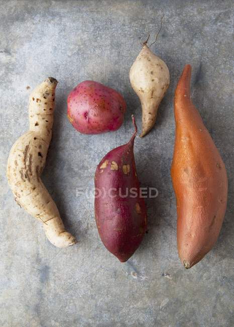 Various types of potatoes — Stock Photo