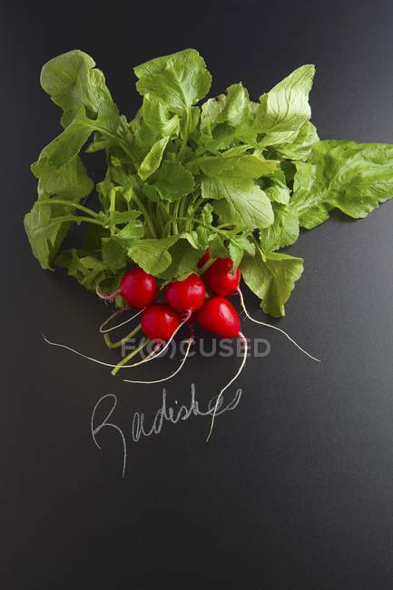 Bouquet de radis avec étiquette — Photo de stock