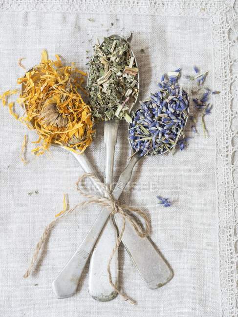 Lavanda seca, dulce de pradera y caléndula en cucharas de plata - foto de stock