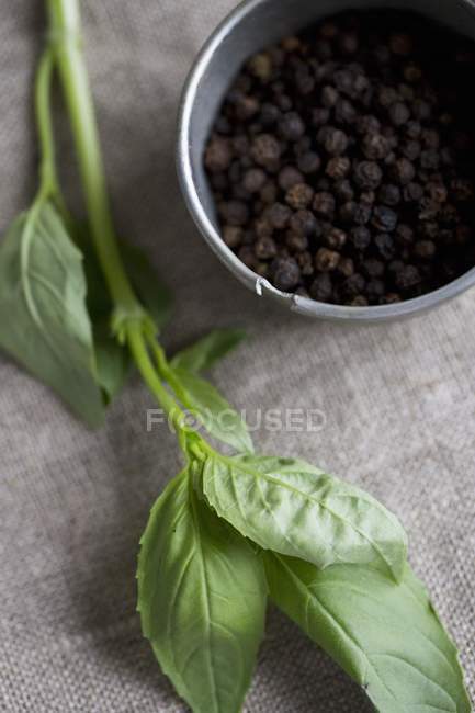 Peppercorns in bowl and fresh basil — Stock Photo