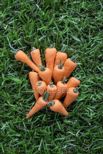 Cenouras de açúcar na grama — Fotografia de Stock