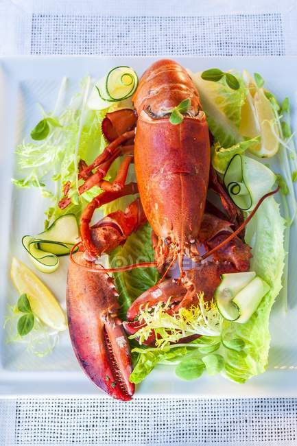 Vista de perto de lagosta com salada e fatias de limão em prato quadrado — Fotografia de Stock