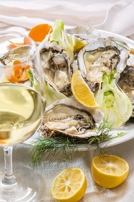 Fresh oysters with fennel and lemons — Stock Photo